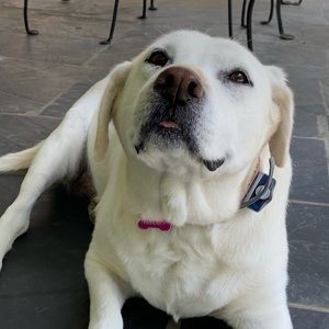 Meet your Posher, Emma